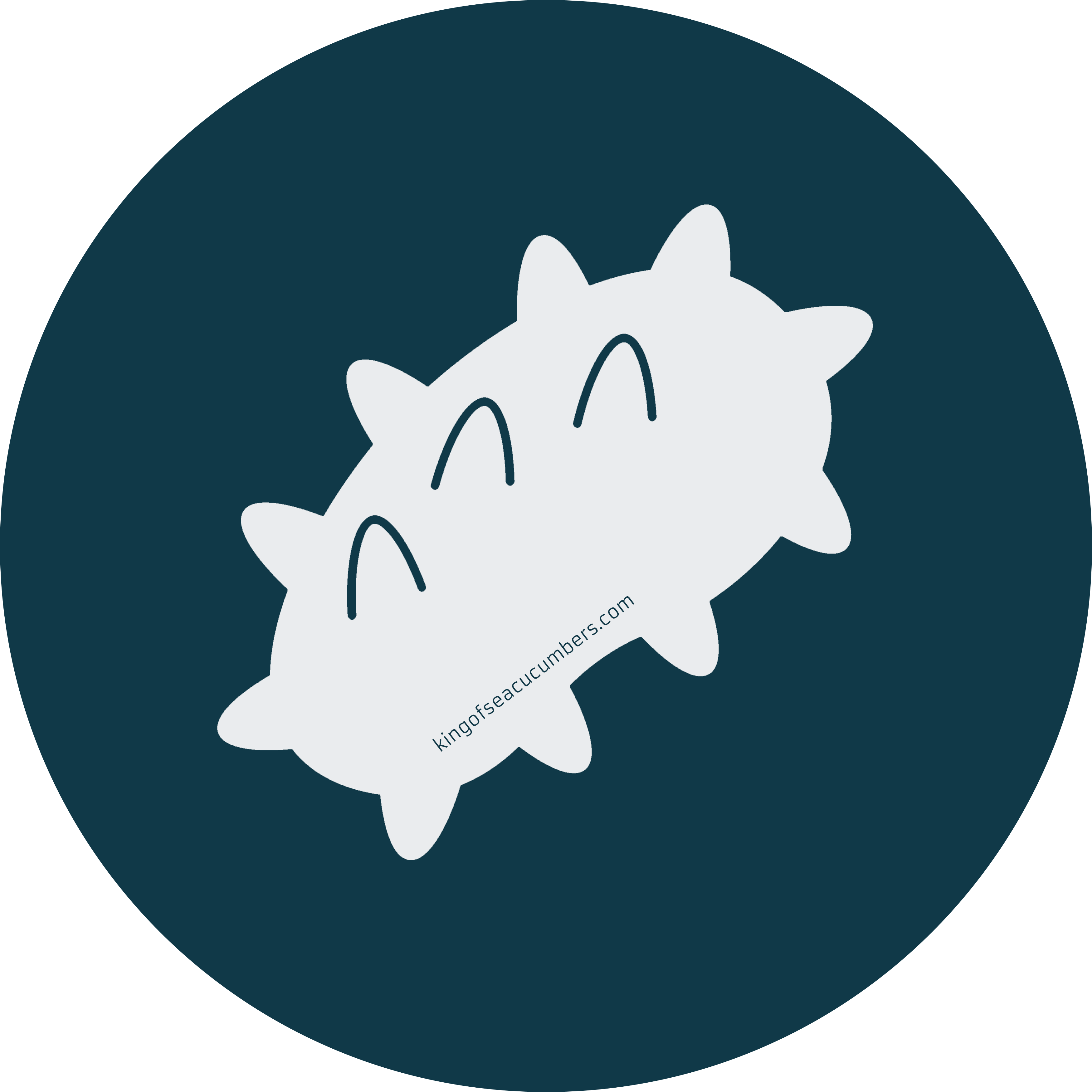 King of Sea Cucumbers Logo